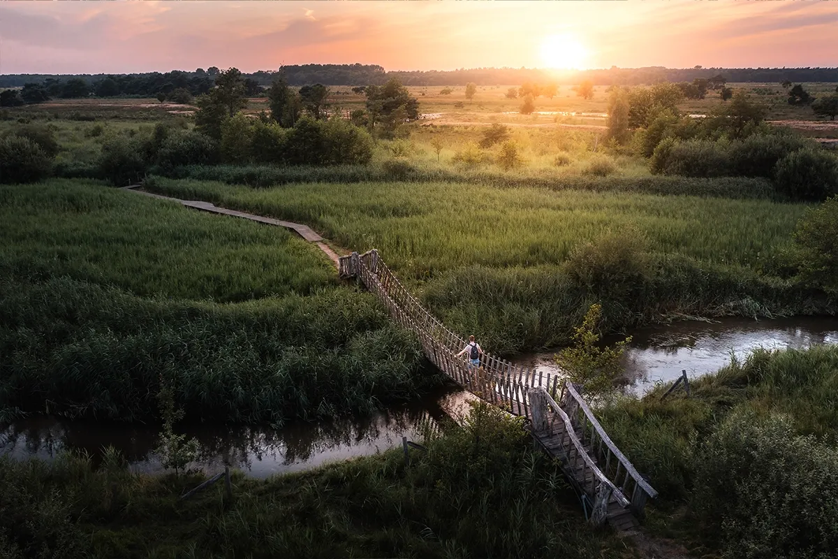 De Groote Heide